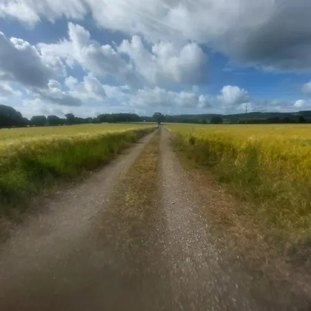 Pansiyon Swallows Nest *