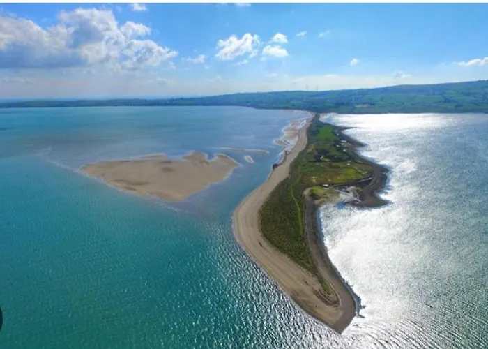 Проживание в семье Swallows Nest *