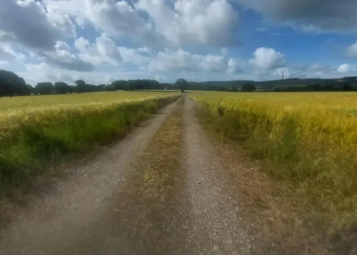 Проживание в семье Swallows Nest *